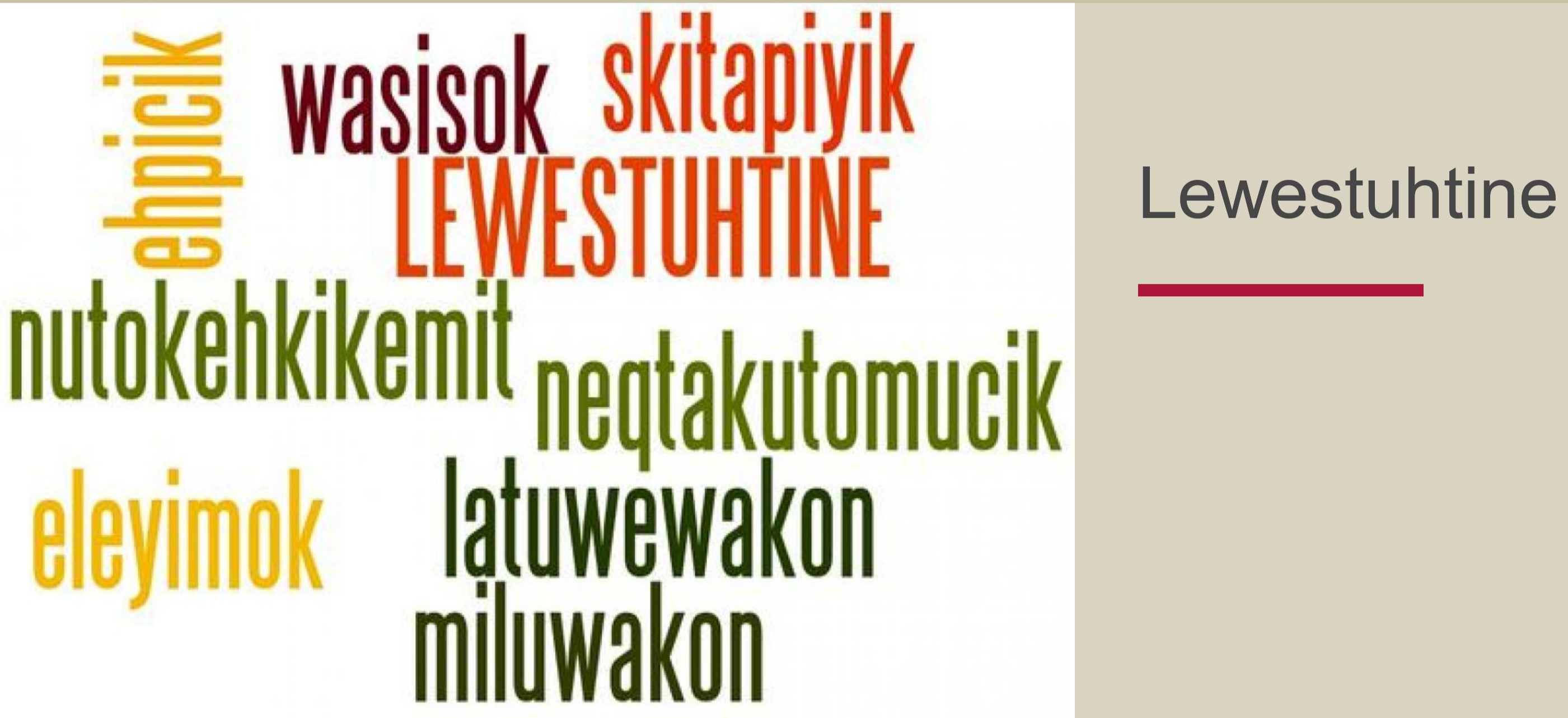 Passamaquoddy People's Lewestuhtine collection.